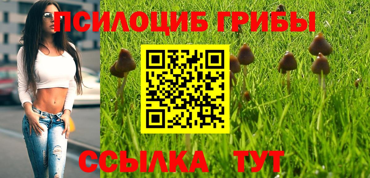 Кызыл  Галлюциногенные грибы ЛСД  Вход с VPN  Псилоцибиновые грибы мухоморы 