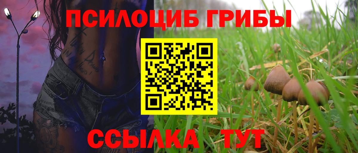 Псилоцибиновые грибы GOLDEN TEACHER Кызыл