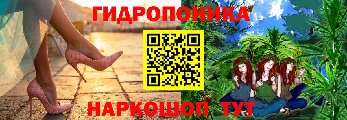 Канабис индика Кызыл